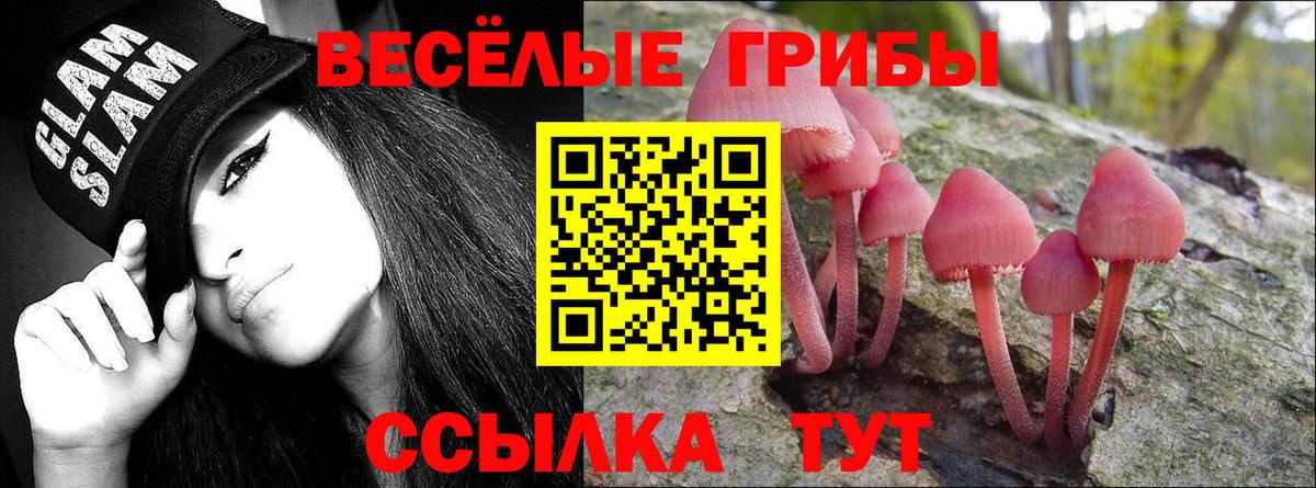 Галлюциногенные грибы GOLDEN TEACHER Урус-Мартан