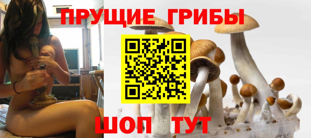 Псилоцибиновые грибы Magic Shrooms  Вход с VPN  купить   Урус-Мартан  Галлюциногенные грибы GOLDEN TEACHER 
